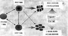 三千长阶血未尽哪一章