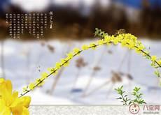 春天来了 小花